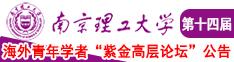 嗯……大鸡巴操逼视频南京理工大学第十四届海外青年学者紫金论坛诚邀海内外英才！